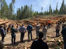 Photo: Kyle Sullivan-Astor