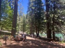 Lunch spot on Jenkinson Lake at Sly Park Recreation Area. Photo: Neil Simpson Lunch spot on Jenkinson Lake at Sly Park Recreation Area.