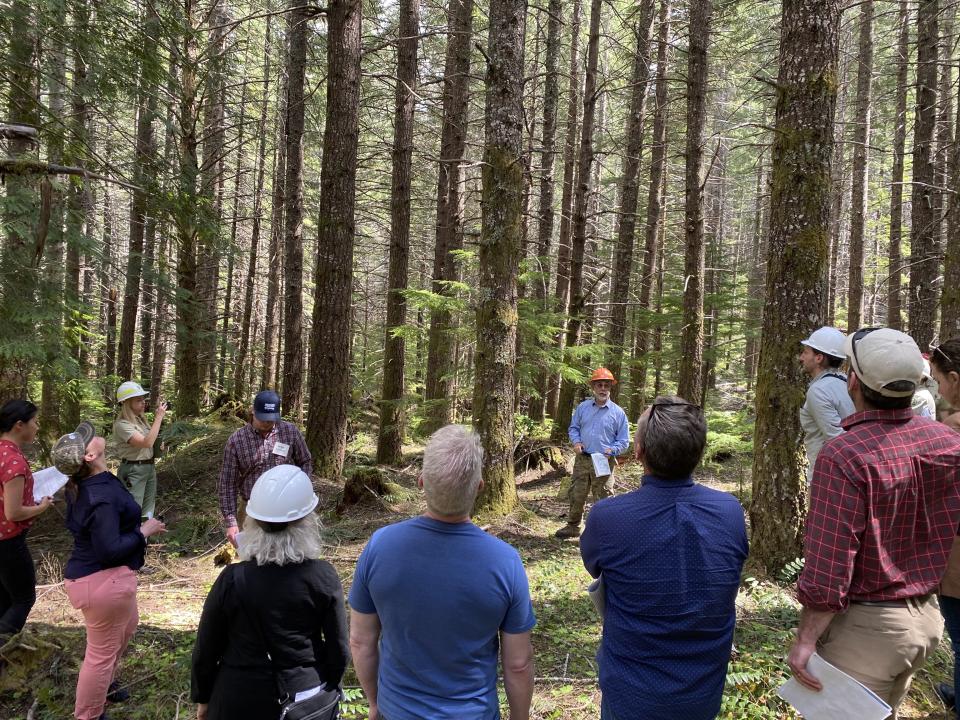 Forest to Frame Tour participants view a stand of suppressed Douglas fir on the Willamette National Forest’s Detroit Ranger District