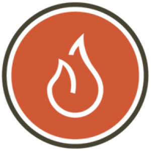 Wildland Fire icon